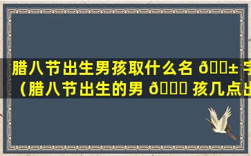 腊八节出生男孩取什么名 🐱 字（腊八节出生的男 🕊 孩几点出生好）